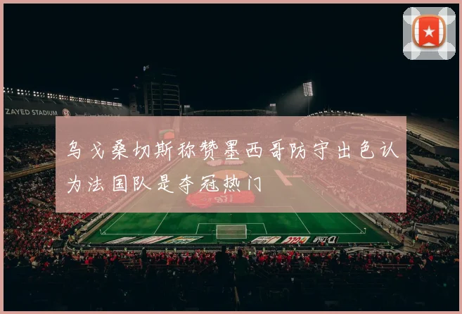 乌戈桑切斯称赞墨西哥防守出色认为法国队是夺冠热门