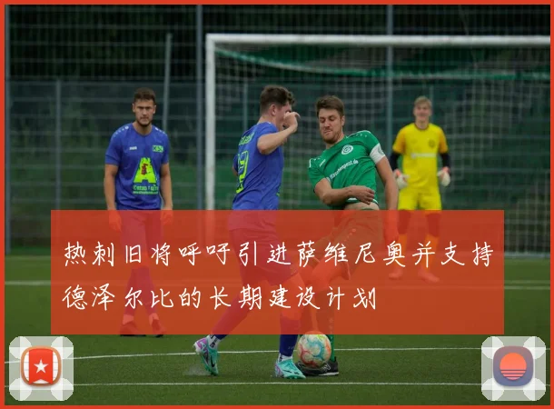 热刺旧将呼吁引进萨维尼奥并支持德泽尔比的长期建设计划