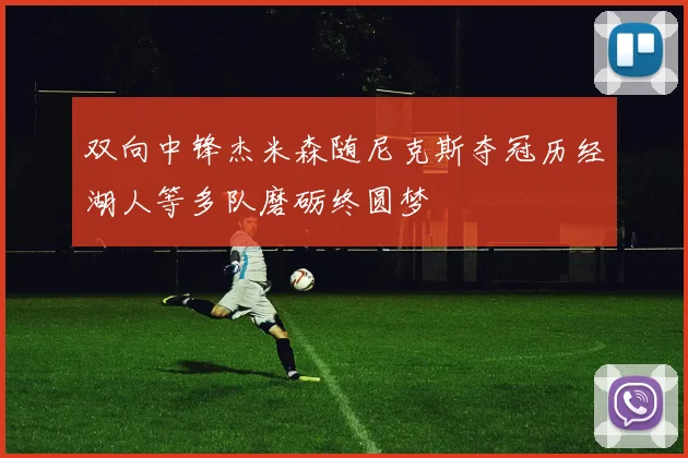 双向中锋杰米森随尼克斯夺冠历经湖人等多队磨砺终圆梦